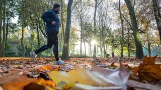 Ma wrócić złota polska jesień