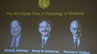 Laureaci Nagrody Nobla 2013 w dziedzinie medycyny i fizjologii: Randy W. Schekman i James E. Rothman 