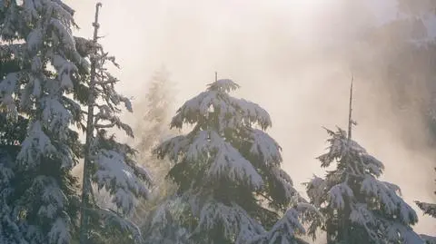 W wielu miejscach kraju spadnie śnieg