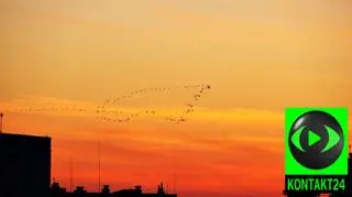 Zachód słońca nad Bydgoszczą