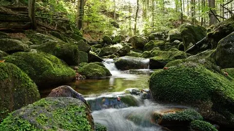 Karkonoski Park Narodowy