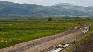 Aż do piątku będzie mokro i chłodno