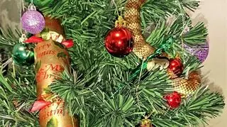 Wąż tygrysi owinął się wokół choinki
