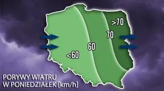 28 listopada - prędkość wiatru w Polsce/TVN Meteo