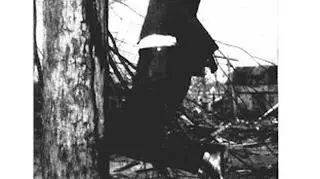 87. rocznica przejścia Tri-State Tornado (NOAA)
