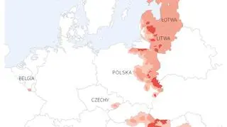 Afrykański pomór świń w Unii Europejskiej (Maciej Zieliński/PAP)