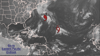 Aktualne połozenie Ophelii (NOAA/NHC)