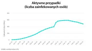 Aktywne przypadki (liczba zainfekowanych osób) (tvnmeteo.pl za worldometers.info)