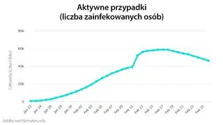 Aktywne przypadki (tvnmeteo