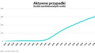 Aktywne przypadki (worldometers