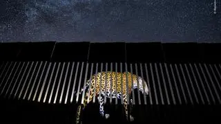 © Alejandro Prieto - Wildlife Photographer of the Year