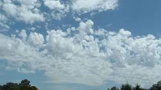 Altocumulus Castellanus mogą zapowiadać burze