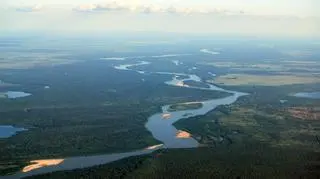 Amazonka (Shutterstock)