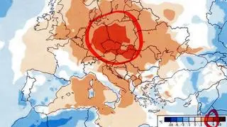 Anomalia temperatury w okresie 13-19 sierpnia (ECMWF)