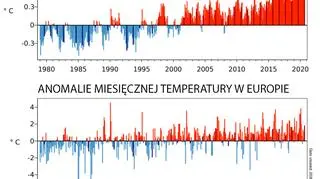 Anomalie miesięcznej globalnej i europejskiej temperatury (Copernicus Climate Change Service/ECMWF)