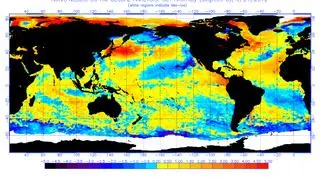 Anomalie temperaturowe wód oceanicznych - kolor czerwony oznacza wyższe niż normalnie wartości temperatur (NOAA)