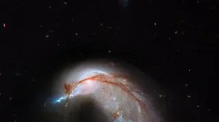 Arp 142 to para kolidujących galaktyk w gwiazdozbiorze Hydry