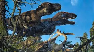 Artystyczna wizja tyranozaurów i ich młodych na terenie Arktyki w okresie kredy (autor: James Havens)