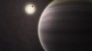 Artystyczne przedstawienie PH1 w jej układzie (NASA/Haven Giguere/Yale)