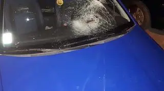 Auto zniszczone przez zebrę uciekinierkę (KRPZ Nitra)