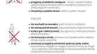 Bezpieczeństwo w czasie wichury (PAP/Adam Ziemienowicz)