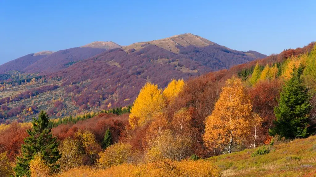 Bieszczady
