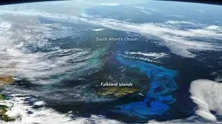 Błękitny wir na Oceanie Atlantyckim (NASA Earth Observatory/Joshua Stevens)