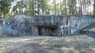Bunkry na Dąbrowieckiej Górze / fot: Lukas skywalker, CC BY 3.0 Wikipedia