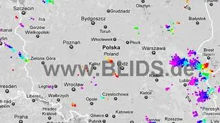 Burze nad Polską o godzinie 21.00 (blids.de)