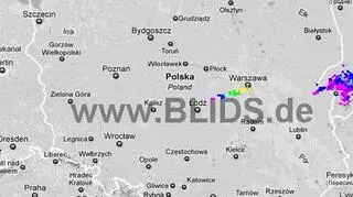 Burze nad Polską o godzinie 9.30 (blids.de)