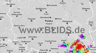 Burze w Polsce (blids.de)