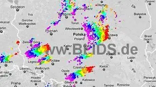 Burze w Polsce (blids.de)