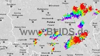 Burze w Polsce (blids.de)