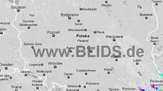 Burze w Polsce w godz. 16.45-18.45 (blids.de)