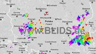 Burze w Polsce w godz. 19.00-21.00 (blids.de)