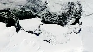 Cielenie się lodowca Mertza. Zdjęcie z 26 lutego 2010 r. (Jeff Schmaltz/NASA)