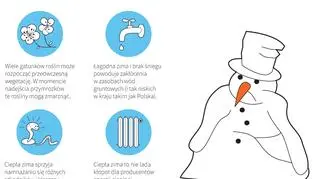 Ciepła zima i związane z nią niedogodności (grafika PAP)