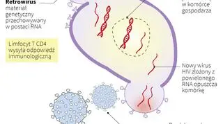 Co to jest HIV/AIDS? (Anna Zajkowska, Adam Ziemienowicz/PAP)