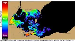 Cyjanobakterie w Jeziorze Erie dn. 02.10.2017 (NOAA/NASA)