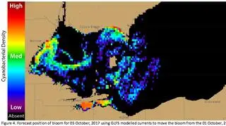 Cyjanobakterie w Jeziorze Erie dn. 05.10.2017 (NOAA/NASA)