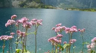 Czarny Staw Kontakt Meteo/ptaszyna