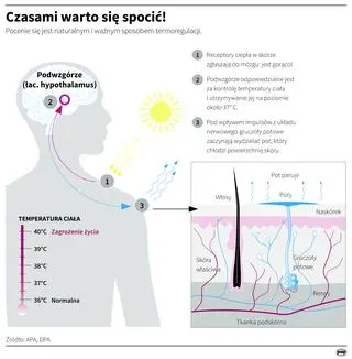 Czasami warto się spocić! (PAP/Adam Ziemienowicz/Maria Samczuk)