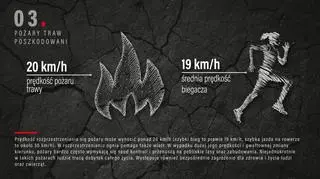 Człowiek ma niewielkie szanse w ucieczce przed ogniem