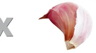 Czosnek