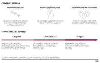 Depresja - przyczyny, stopnie nasilenia (Maria Samczuk/PAP)