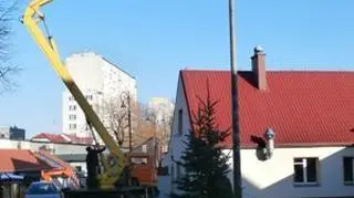 Do przeniesienia gniazda wykorzystano ciężki sprzęt
