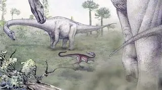 Dreadnoughtus Schrani i mięsożerny dinozaur