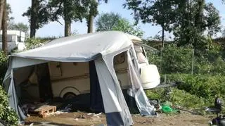 Drzewo spadło na przyczepę kempingową (KWP w Gorzowie Wlkp.)