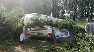 Drzewo spadło na przyczepę kempingową (KWP w Gorzowie Wlkp.)	