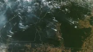 Dym unoszący się z pożarów w Amazonii 1 sierpnia (NASA)